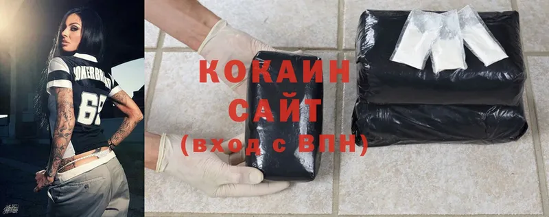 Кокаин Fish Scale  блэк спрут ссылка  Апатиты 