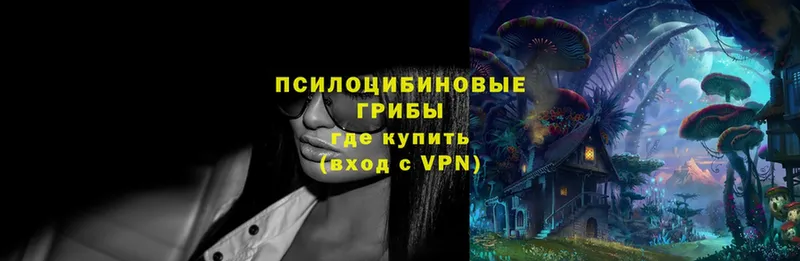 Псилоцибиновые грибы MAGIC MUSHROOMS  купить наркотики цена  Апатиты 